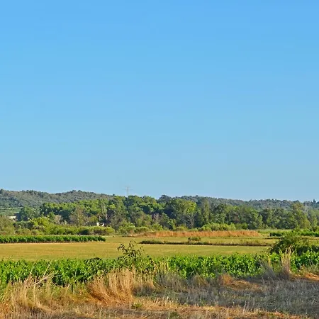 Villa Le Jardin Des Copains Canet (Herault)