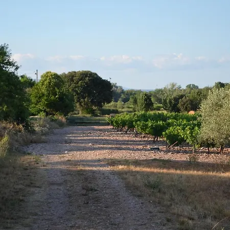 Le Jardin Des Copains Villa Canet (Herault)
