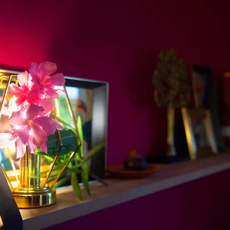 Le Jardin Des Copains Villa Canet (Herault)