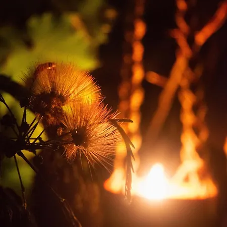 Le Jardin Des Copains Villa
