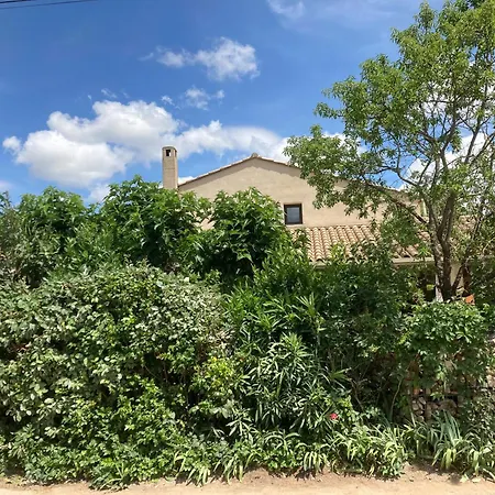 Le Jardin Des Copains Canet (Herault)