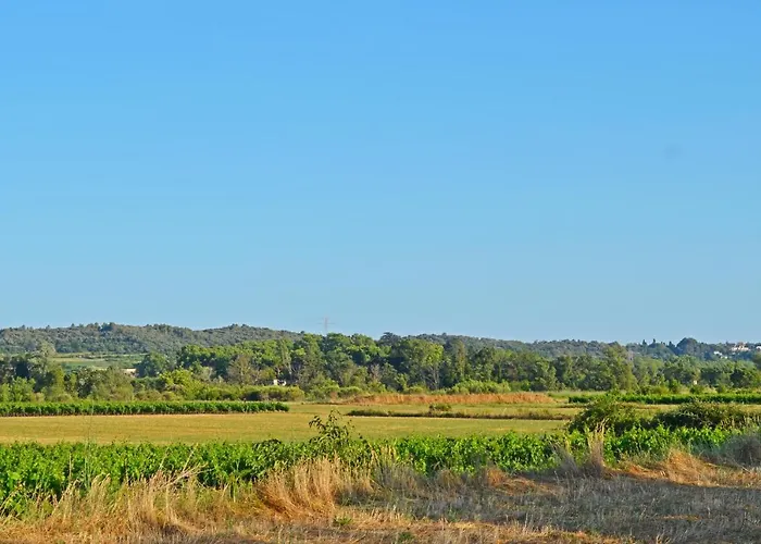 Willa Le Jardin Des Copains Canet (Herault)