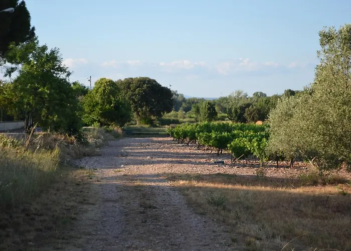 Le Jardin Des Copains Willa Canet (Herault)