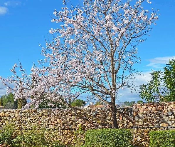 Le Jardin Des Copains
