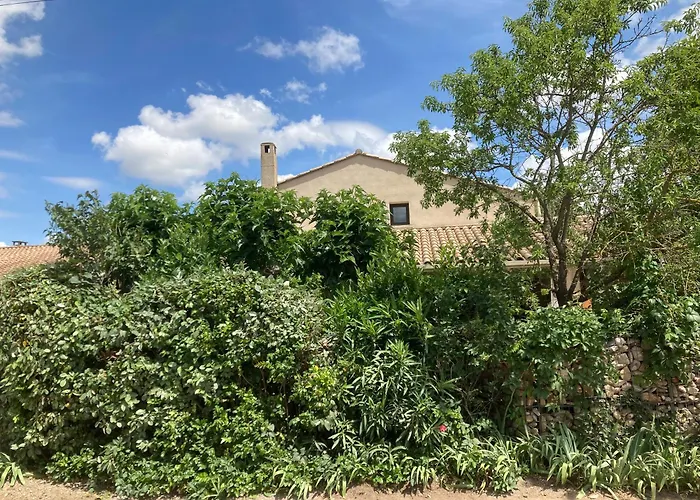 Le Jardin Des Copains Canet (Herault)